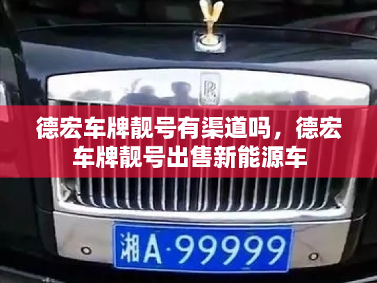 德宏车牌靓号有渠道吗，德宏车牌靓号出售新能源车-第3张图片-七号汽车选号