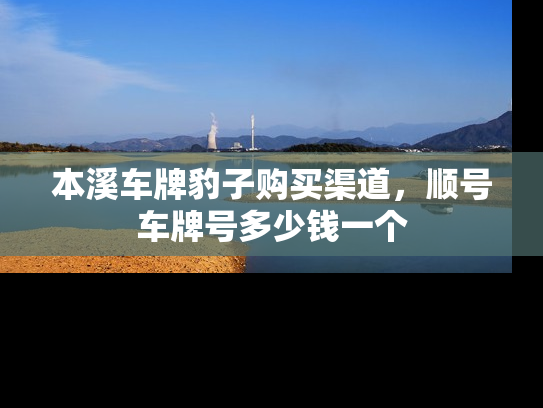 本溪车牌豹子购买渠道，顺号车牌号多少钱一个