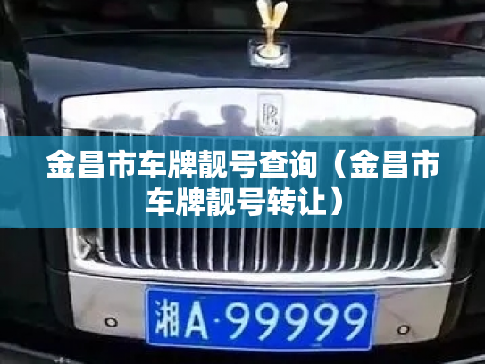 金昌市车牌靓号查询(金昌市车牌靓号转让)-第2张图片-七号汽车选号 金昌市车牌靓号查询(金昌市车牌靓号转让)-第2张图片-七号汽车选号