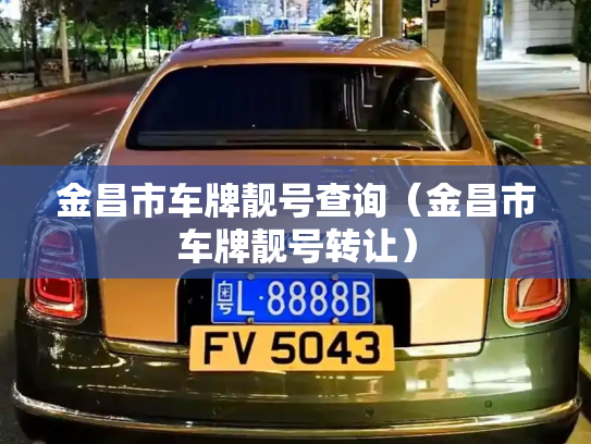 金昌市车牌靓号查询（金昌市车牌靓号转让）
