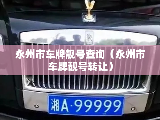 永州市车牌靓号查询(永州市车牌靓号转让)-第2张图片-七号汽车选号 永州市车牌靓号查询(永州市车牌靓号转让)-第2张图片-七号汽车选号