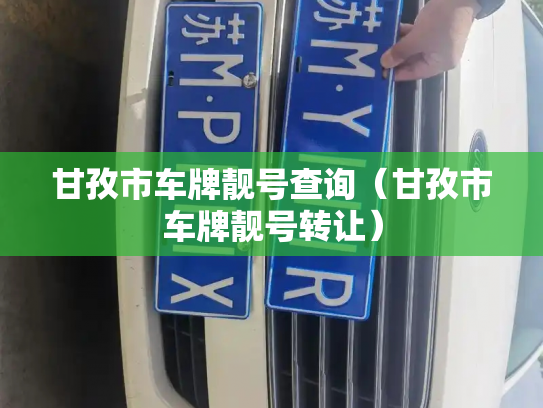 甘孜市车牌靓号查询(甘孜市车牌靓号转让)-第2张图片-七号汽车选号 甘孜市车牌靓号查询(甘孜市车牌靓号转让)-第2张图片-七号汽车选号