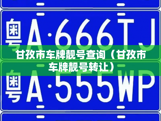 甘孜市车牌靓号查询（甘孜市车牌靓号转让）