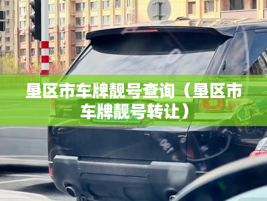 垦区市车牌靓号查询（垦区市车牌靓号转让）