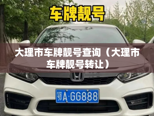 大理市车牌靓号查询(大理市车牌靓号转让)-第3张图片-七号汽车选号 大理市车牌靓号查询(大理市车牌靓号转让)-第3张图片-七号汽车选号