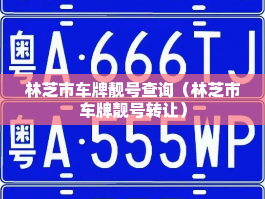 林芝市车牌靓号查询(林芝市车牌靓号转让)-第2张图片-七号汽车选号 林芝市车牌靓号查询(林芝市车牌靓号转让)-第2张图片-七号汽车选号