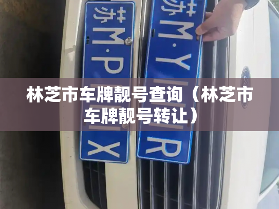 林芝市车牌靓号查询（林芝市车牌靓号转让）