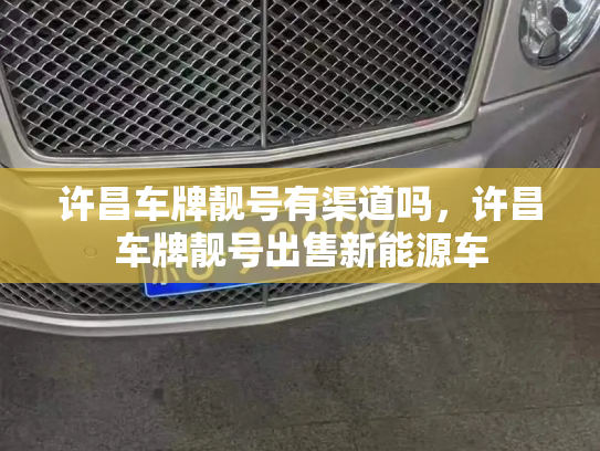 许昌车牌靓号有渠道吗，许昌车牌靓号出售新能源车-第3张图片-七号汽车选号