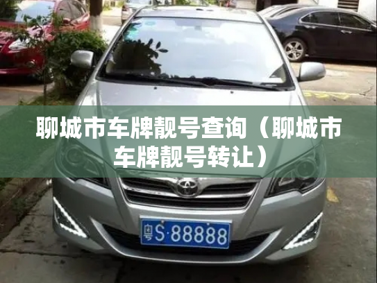 聊城市车牌靓号查询（聊城市车牌靓号转让）-第3张图片-七号汽车选号