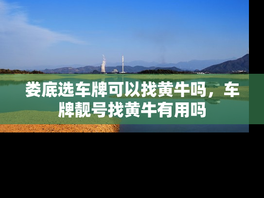 娄底选车牌可以找黄牛吗，车牌靓号找黄牛有用吗-第1张图片-七号汽车选号
