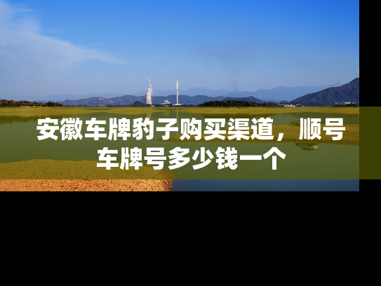 安徽车牌豹子购买渠道，顺号车牌号多少钱一个-第1张图片-七号汽车选号