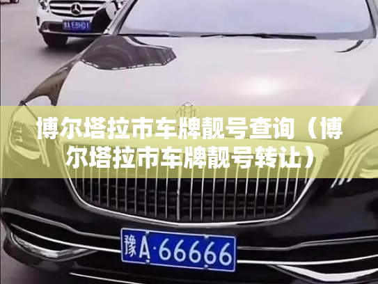 博尔塔拉市车牌靓号查询（博尔塔拉市车牌靓号转让）-第2张图片-七号汽车选号