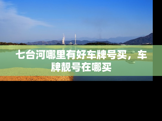 七台河哪里有好车牌号买，车牌靓号在哪买-第2张图片-七号汽车选号