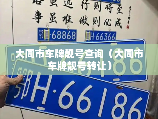 大同市车牌靓号查询（大同市车牌靓号转让）-第2张图片-七号汽车选号