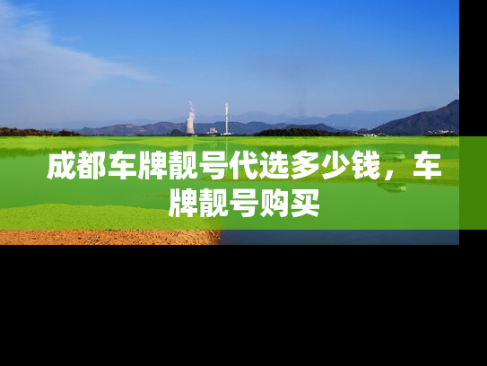 成都车牌靓号代选多少钱，车牌靓号购买-第1张图片-七号汽车选号