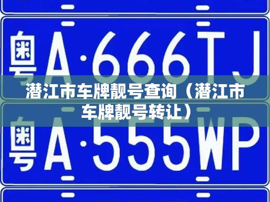 潜江市车牌靓号查询(潜江市车牌靓号转让)-第3张图片-七号汽车选号 潜江市车牌靓号查询(潜江市车牌靓号转让)-第3张图片-七号汽车选号
