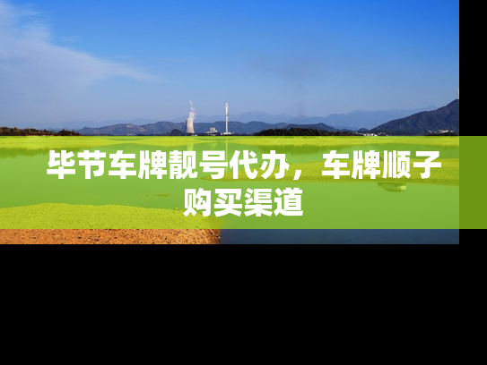 毕节车牌靓号代办，车牌顺子购买渠道-第1张图片-七号汽车选号