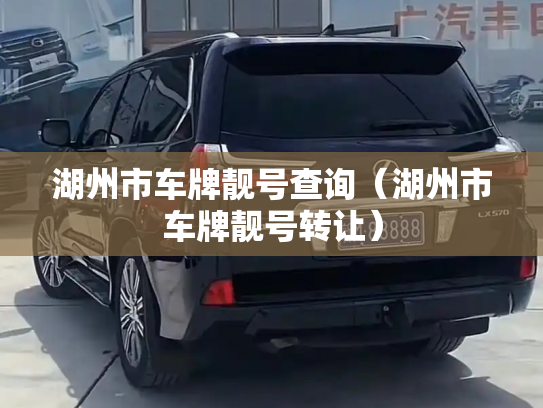 湖州市车牌靓号查询(湖州市车牌靓号转让)-第2张图片-七号汽车选号 湖州市车牌靓号查询(湖州市车牌靓号转让)-第2张图片-七号汽车选号
