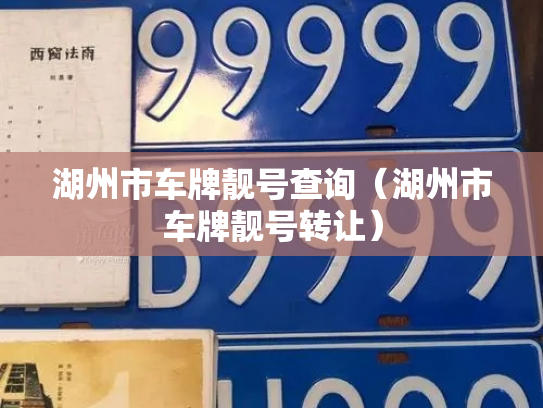 湖州市车牌靓号查询(湖州市车牌靓号转让)-第3张图片-七号汽车选号 湖州市车牌靓号查询(湖州市车牌靓号转让)-第3张图片-七号汽车选号