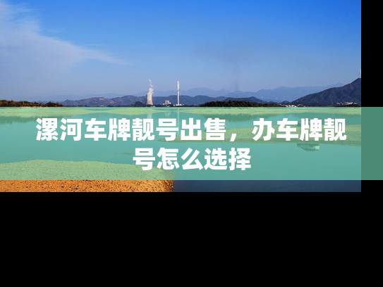 漯河车牌靓号出售，办车牌靓号怎么选择-第1张图片-七号汽车选号