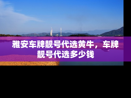 雅安车牌靓号代选黄牛，车牌靓号代选多少钱-第1张图片-七号汽车选号