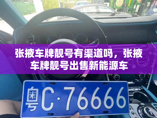 张掖车牌靓号有渠道吗,张掖车牌靓号出售新能源车-第2张图片-七号汽车选号 张掖车牌靓号有渠道吗,张掖车牌靓号出售新能源车-第2张图片-七号汽车选号