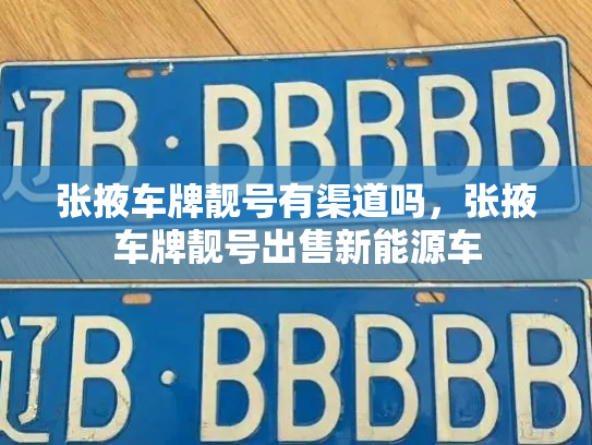 张掖车牌靓号有渠道吗,张掖车牌靓号出售新能源车-第3张图片-七号汽车选号 张掖车牌靓号有渠道吗,张掖车牌靓号出售新能源车-第3张图片-七号汽车选号
