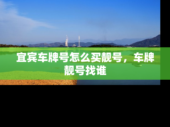 宜宾车牌号怎么买靓号，车牌靓号找谁