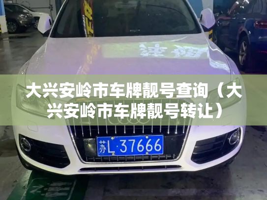 大兴安岭市车牌靓号查询(大兴安岭市车牌靓号转让)-第2张图片-七号汽车选号 大兴安岭市车牌靓号查询(大兴安岭市车牌靓号转让)-第2张图片-七号汽车选号