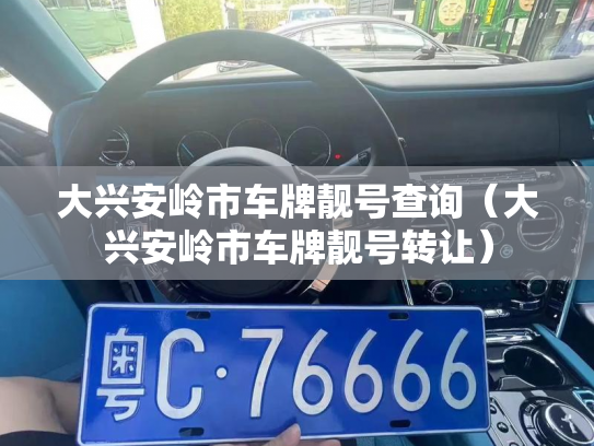 大兴安岭市车牌靓号查询(大兴安岭市车牌靓号转让)-第3张图片-七号汽车选号 大兴安岭市车牌靓号查询(大兴安岭市车牌靓号转让)-第3张图片-七号汽车选号