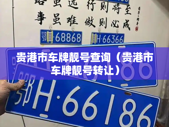 贵港市车牌靓号查询(贵港市车牌靓号转让)-第2张图片-七号汽车选号 贵港市车牌靓号查询(贵港市车牌靓号转让)-第2张图片-七号汽车选号