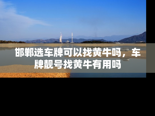 邯郸选车牌可以找黄牛吗，车牌靓号找黄牛有用吗-第1张图片-七号汽车选号