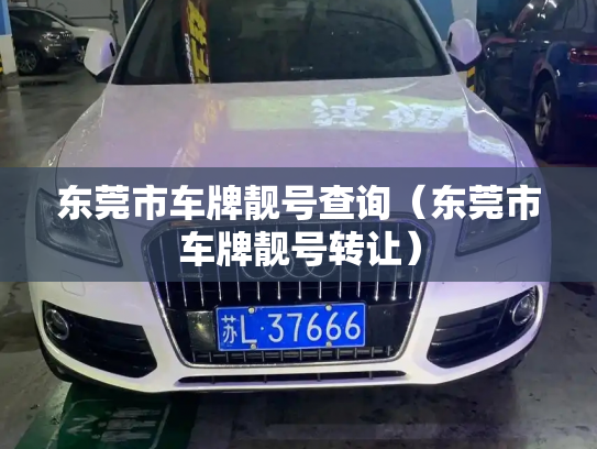 东莞市车牌靓号查询(东莞市车牌靓号转让)-第2张图片-七号汽车选号 东莞市车牌靓号查询(东莞市车牌靓号转让)-第2张图片-七号汽车选号