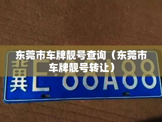 东莞市车牌靓号查询(东莞市车牌靓号转让)-第3张图片-七号汽车选号 东莞市车牌靓号查询(东莞市车牌靓号转让)-第3张图片-七号汽车选号