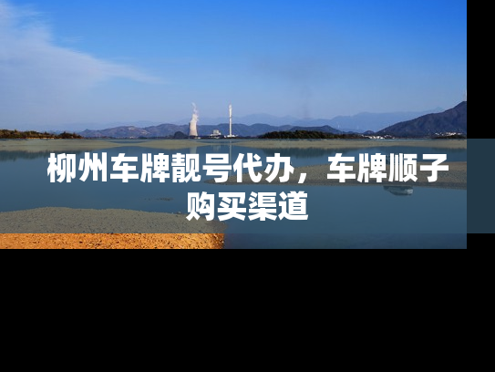 柳州车牌靓号代办，车牌顺子购买渠道-第1张图片-七号汽车选号