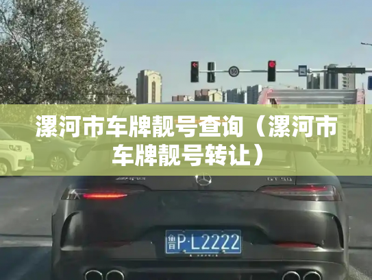 漯河市车牌靓号查询(漯河市车牌靓号转让)-第3张图片-七号汽车选号 漯河市车牌靓号查询(漯河市车牌靓号转让)-第3张图片-七号汽车选号