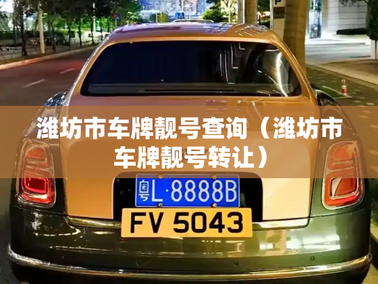 潍坊市车牌靓号查询(潍坊市车牌靓号转让)-第2张图片-七号汽车选号 潍坊市车牌靓号查询(潍坊市车牌靓号转让)-第2张图片-七号汽车选号