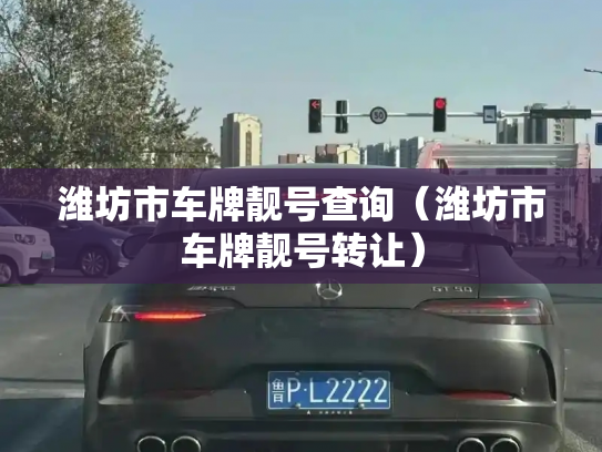 潍坊市车牌靓号查询(潍坊市车牌靓号转让)-第3张图片-七号汽车选号 潍坊市车牌靓号查询(潍坊市车牌靓号转让)-第3张图片-七号汽车选号