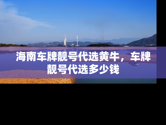 海南车牌靓号代选黄牛，车牌靓号代选多少钱-第1张图片-七号汽车选号