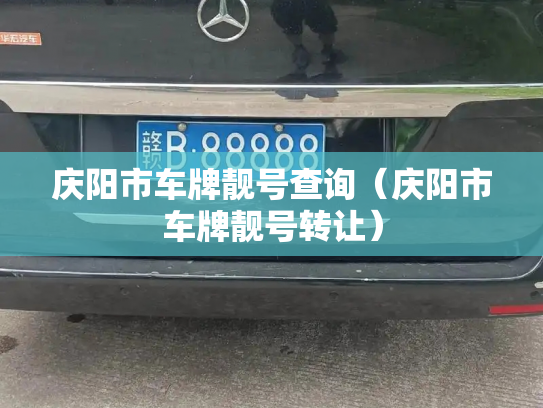 庆阳市车牌靓号查询(庆阳市车牌靓号转让)-第3张图片-七号汽车选号 庆阳市车牌靓号查询(庆阳市车牌靓号转让)-第3张图片-七号汽车选号