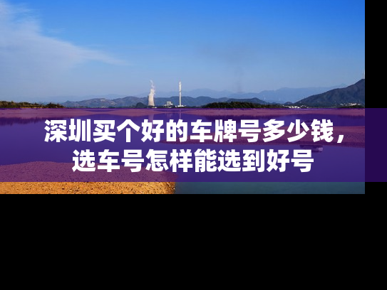 深圳买个好的车牌号多少钱，选车号怎样能选到好号-第1张图片-七号汽车选号