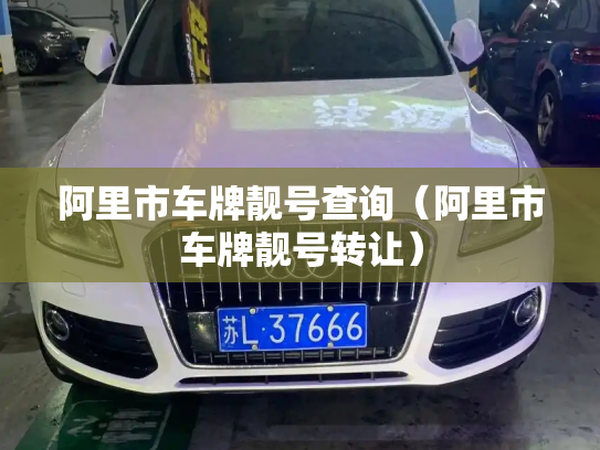 阿里市车牌靓号查询（阿里市车牌靓号转让）-第2张图片-七号汽车选号