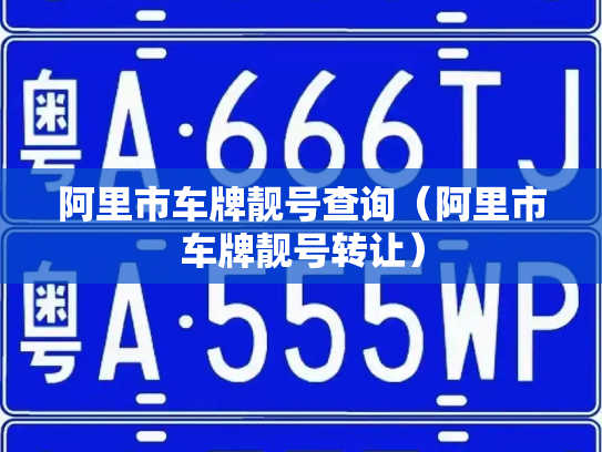 阿里市车牌靓号查询（阿里市车牌靓号转让）-第3张图片-七号汽车选号
