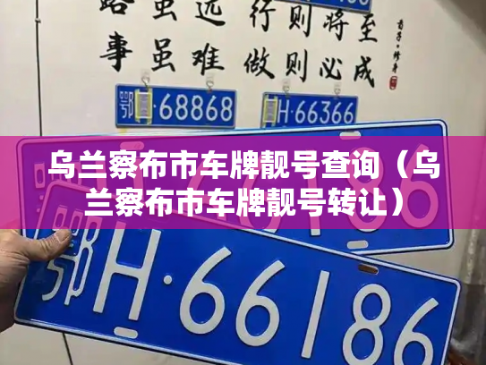 乌兰察布市车牌靓号查询（乌兰察布市车牌靓号转让）-第2张图片-七号汽车选号