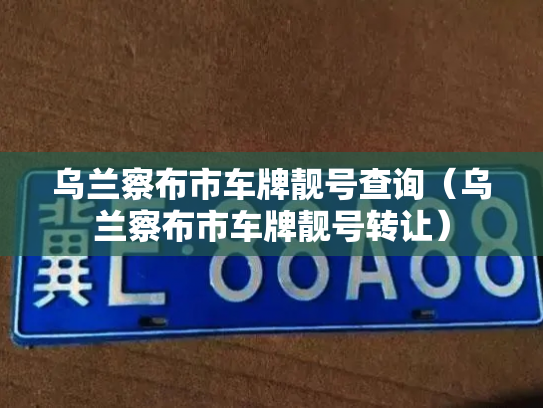 乌兰察布市车牌靓号查询（乌兰察布市车牌靓号转让）-第3张图片-七号汽车选号