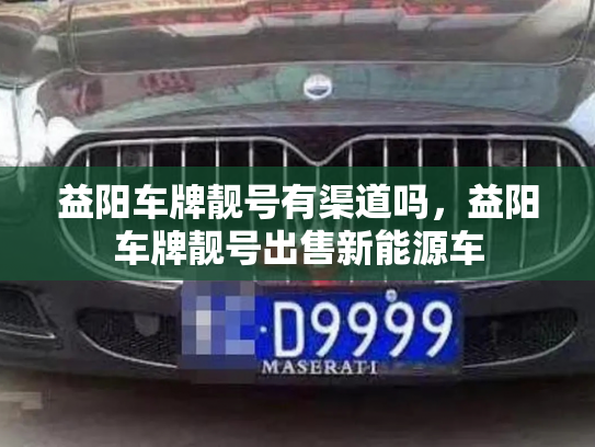 益阳车牌靓号有渠道吗，益阳车牌靓号出售新能源车-第2张图片-七号汽车选号