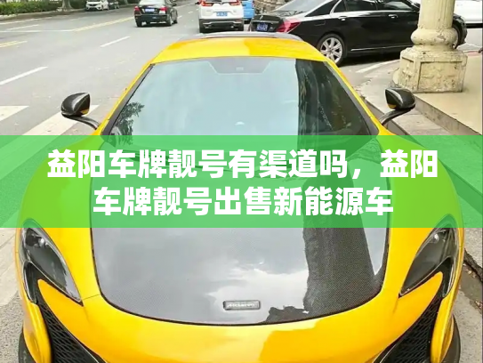 益阳车牌靓号有渠道吗，益阳车牌靓号出售新能源车-第3张图片-七号汽车选号