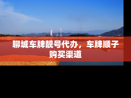 聊城车牌靓号代办，车牌顺子购买渠道