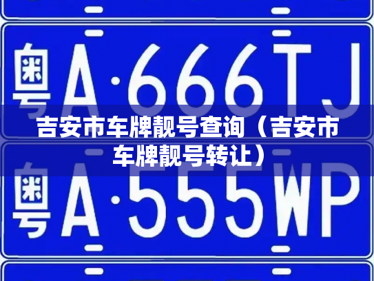 吉安市车牌靓号查询(吉安市车牌靓号转让)-第3张图片-七号汽车选号 吉安市车牌靓号查询(吉安市车牌靓号转让)-第3张图片-七号汽车选号