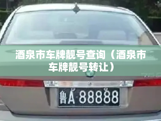 酒泉市车牌靓号查询（酒泉市车牌靓号转让）-第2张图片-七号汽车选号